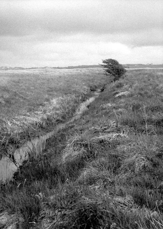 neg_32