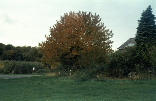 Neg_03