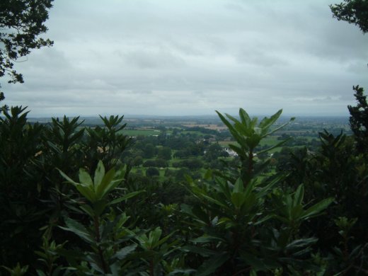 DSCF0031