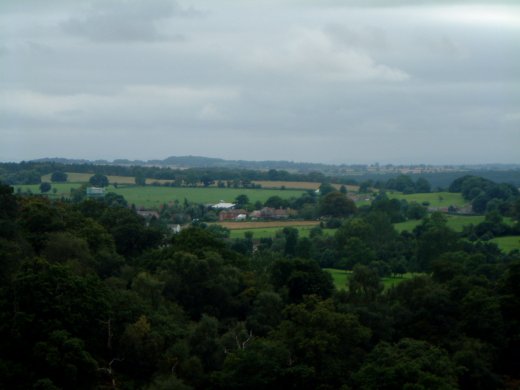 DSCF0041
