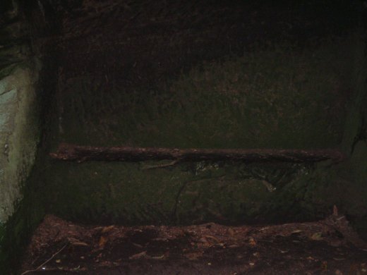 DSCF0042