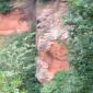 DSCF0044