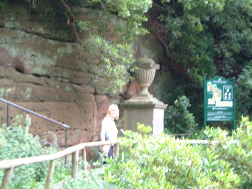 DSCF0051