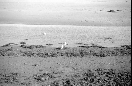neg_02