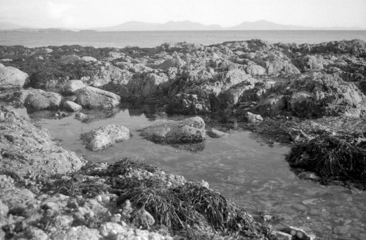 neg_05
