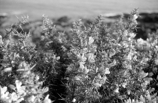 neg_08