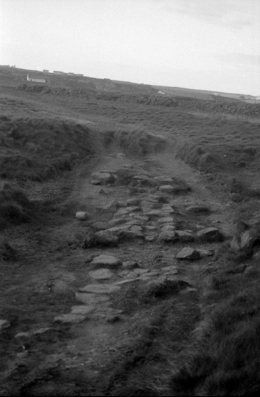 neg_14