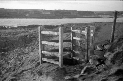 neg_16