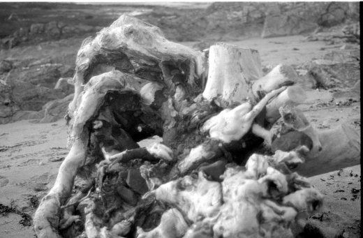 neg_22