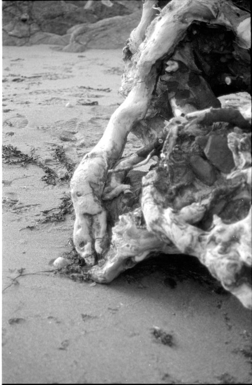 neg_23